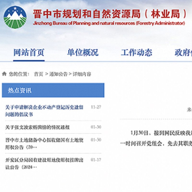 如何在互联网服务领域寻找潜力龙头股?